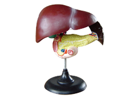 SD-093 33216ʮ֬cKģ